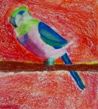 2-3-Bird-02