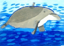 2-3-Manatee