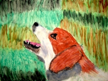 4-5-Animals-02