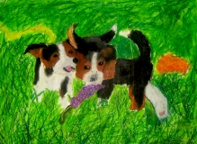 4-5-Animals-03