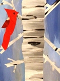 4-5-Cardinals-04