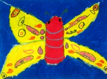 K-1-Butterfly-02