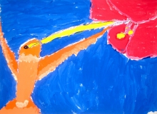 K-1-Humming-Bird-03