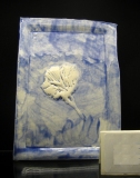 4-5-Ceramic-Linoblock-Prints-05