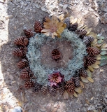 4-5-Goldsworthy-05
