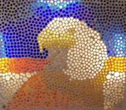 Butterfly-Project-23