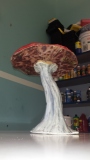 Mushroom-02