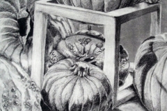 Charcoal on White - Pumpkins